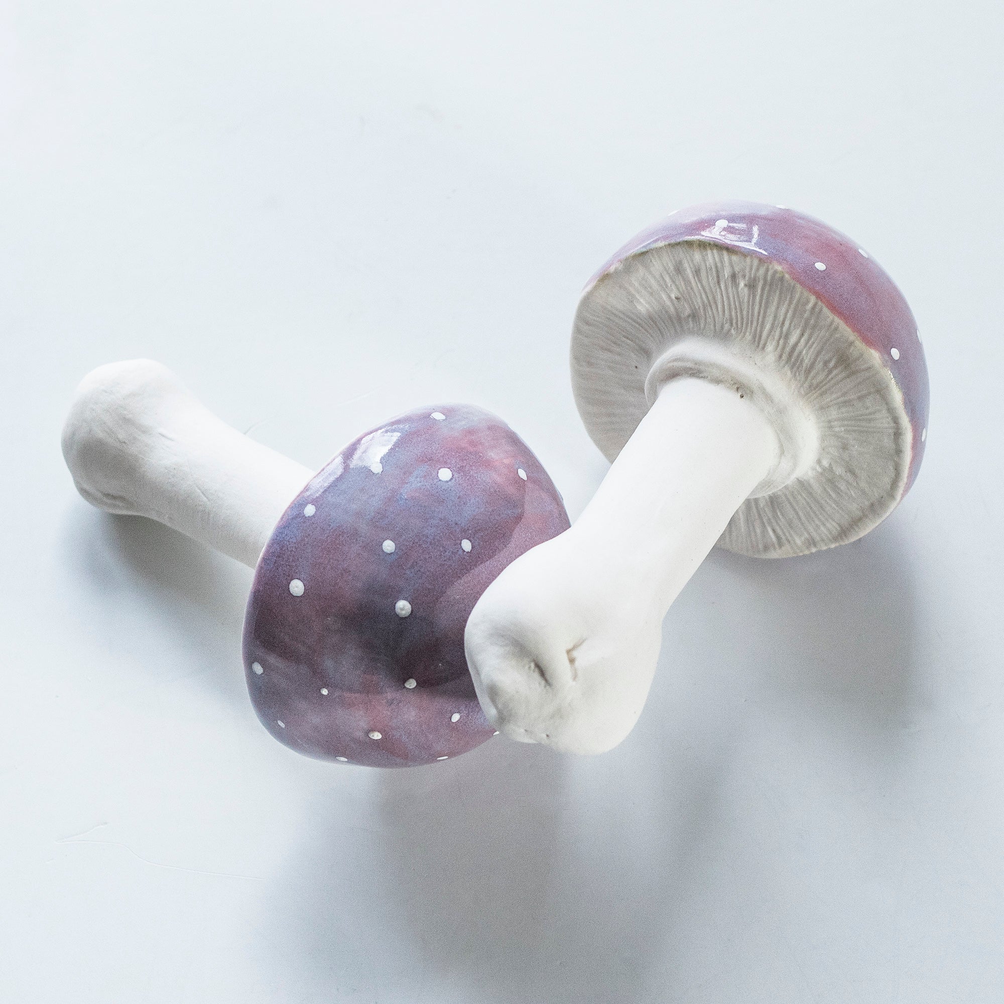 Porcelain sponges / set No.7